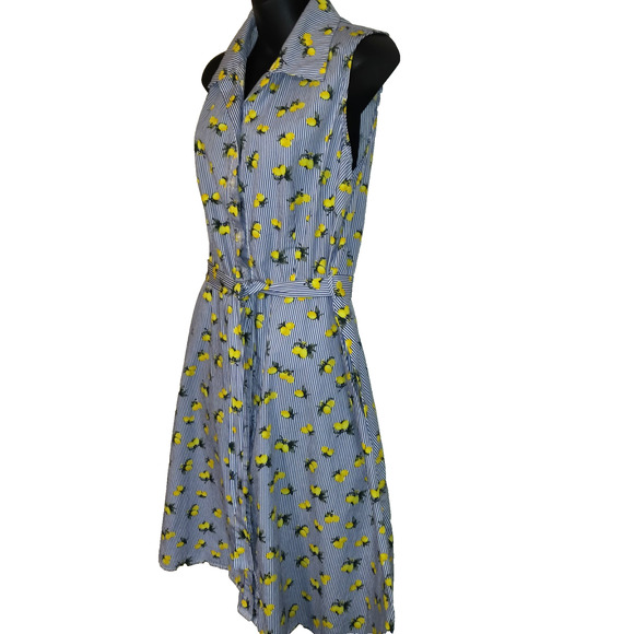 Chloe & Rene Blue Pinstripe Sleeveless Shirt Dress XL Lemon Print Cotton Belted - Picture 3 of 16